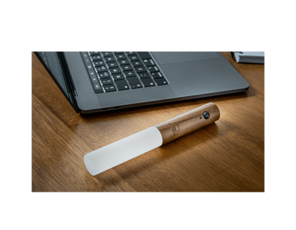 Luminéa - Lampes LED Intelligentes à Détecteur de Mouvement (Lot de 2 lampes)