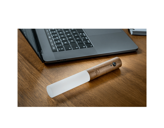Luminéa - Lampes LED Intelligentes à Détecteur de Mouvement (Lot de 2 lampes)
